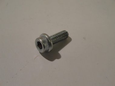 4027928.JPG