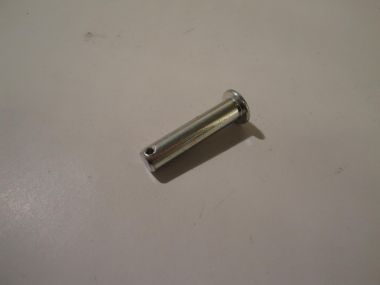 4027991.JPG