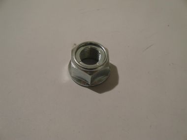 4028017.JPG