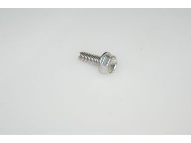 41082598.JPG