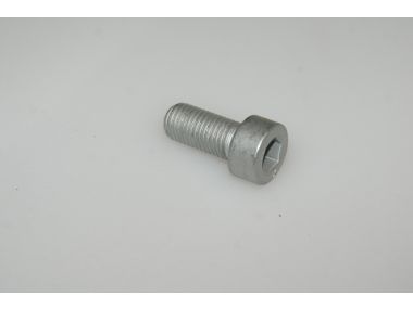 41238204.JPG
