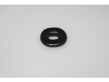 41459042.JPG