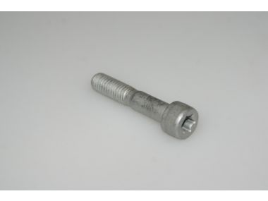 41670455.JPG