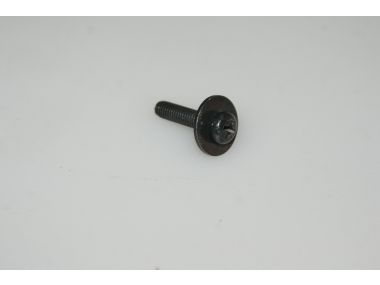 41921176.JPG