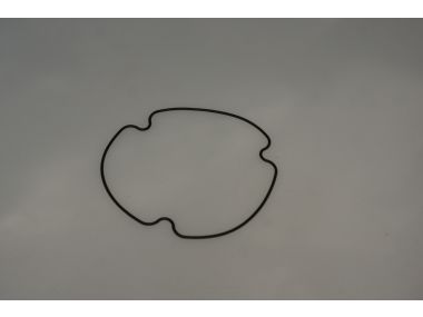 41921225.JPG