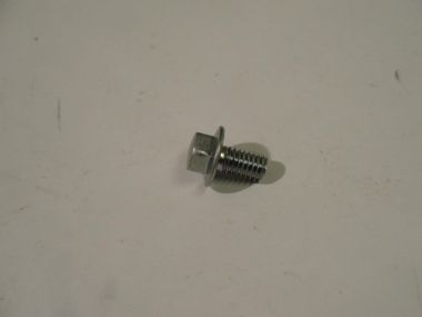 4236449.JPG