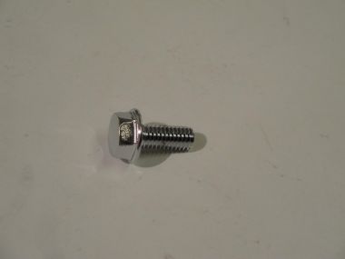 4236450.JPG