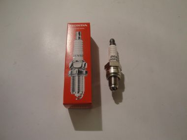 4236640.JPG