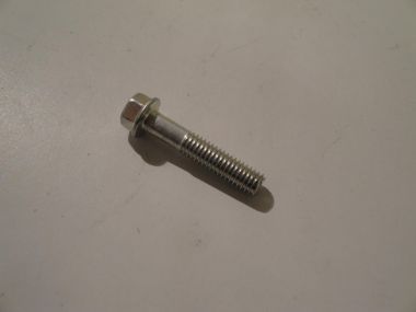 4236645.JPG
