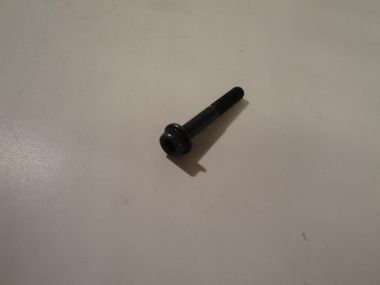 4236705.JPG