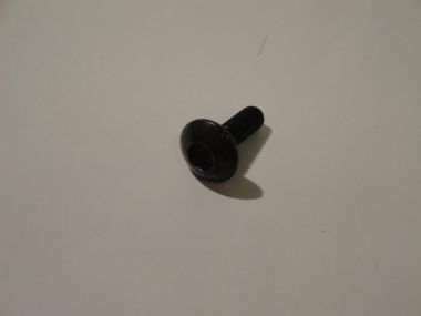 4240313.JPG