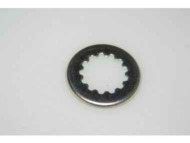 42703412.JPG
