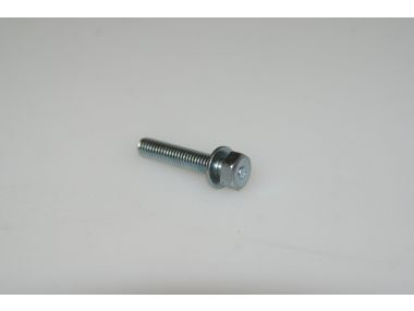43828004.JPG