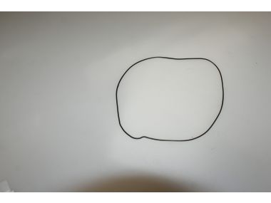44500569.JPG