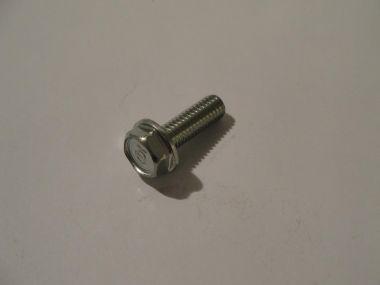 4478448.JPG