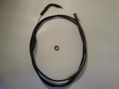 4599320.JPG