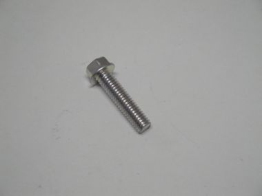 4599402.JPG