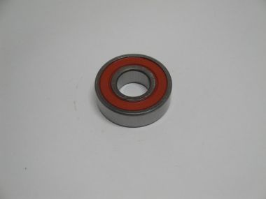 4599512.JPG