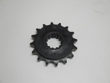 4599569.JPG