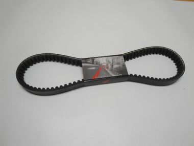 4599610.JPG