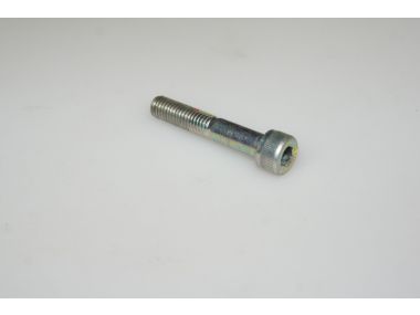 46250030.JPG