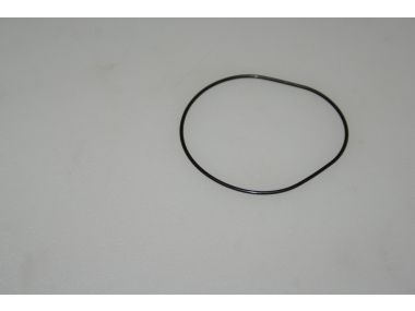 46866032.JPG
