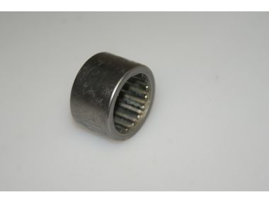 47284347.JPG