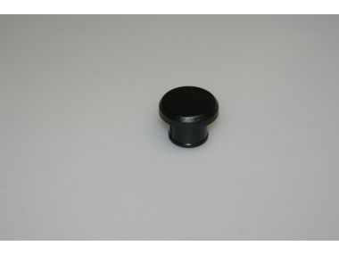 48055206.JPG