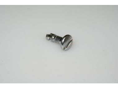 48055210.JPG