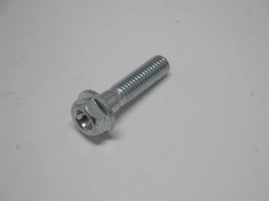 4842387.JPG