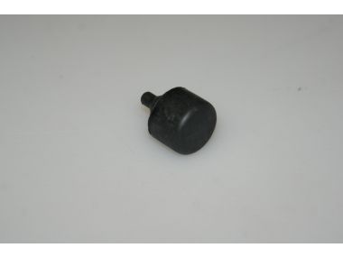 49555210.JPG