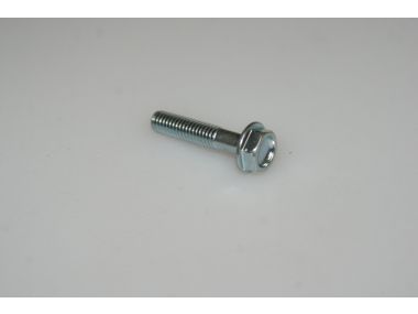 49587126.JPG