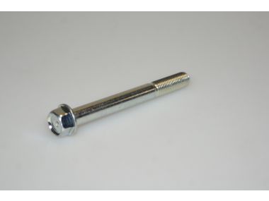 50047675.JPG