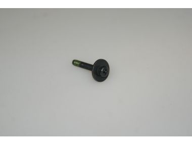 51061444.JPG