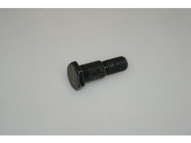 51061469.JPG