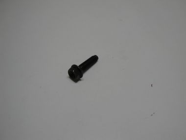5108019.JPG