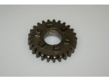 51695577.JPG
