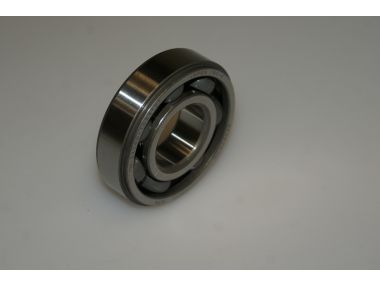 53018243.JPG