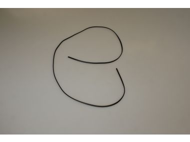 53062969.JPG