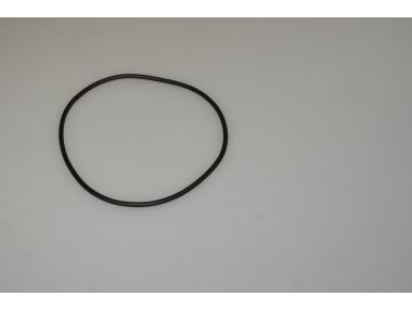 53241576.JPG