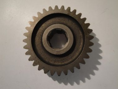 5644742.JPG