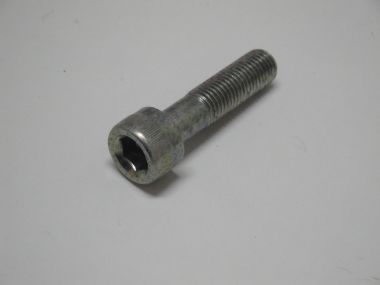 5920981.JPG