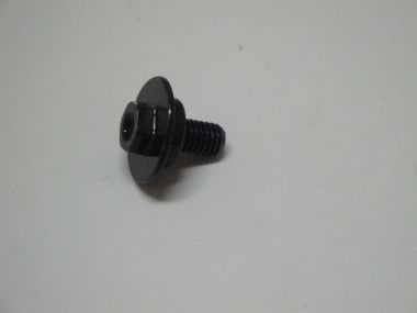 5937638.JPG