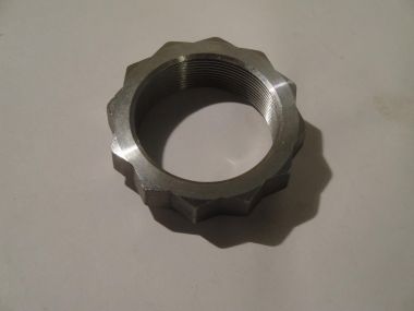 5937744.JPG