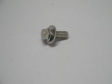 5937914.JPG