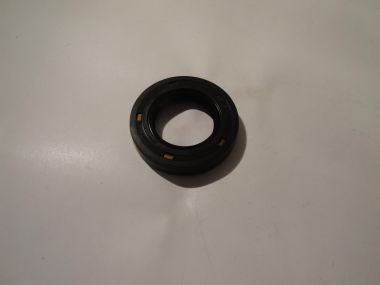 6180392.JPG