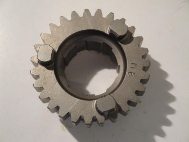 6180475.JPG