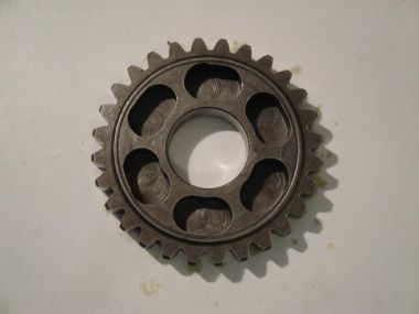 6180498.JPG