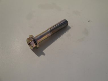 6237235.JPG