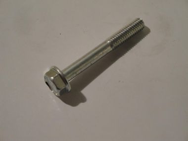 6237239.JPG